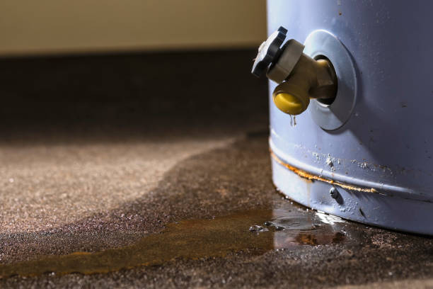 Best Sewage cleanup and water damage restoration  in San Elizario, TX