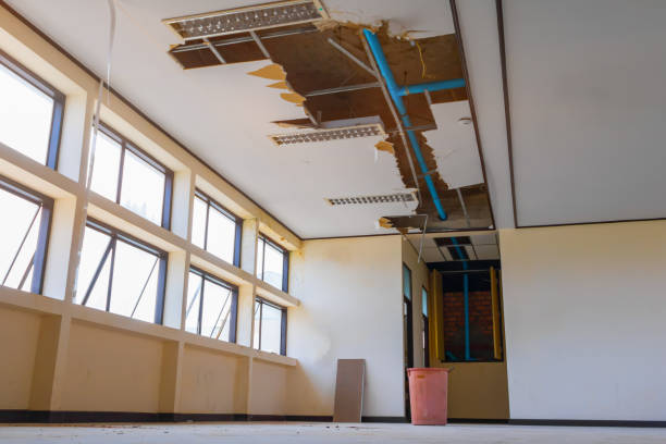 Best Water damage restoration cost  in San Elizario, TX
