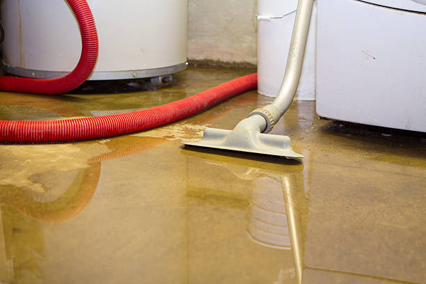 Best Flood damage cleanup  in San Elizario, TX
