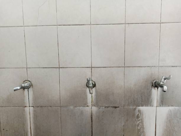 Best Water damage restoration company  in San Elizario, TX